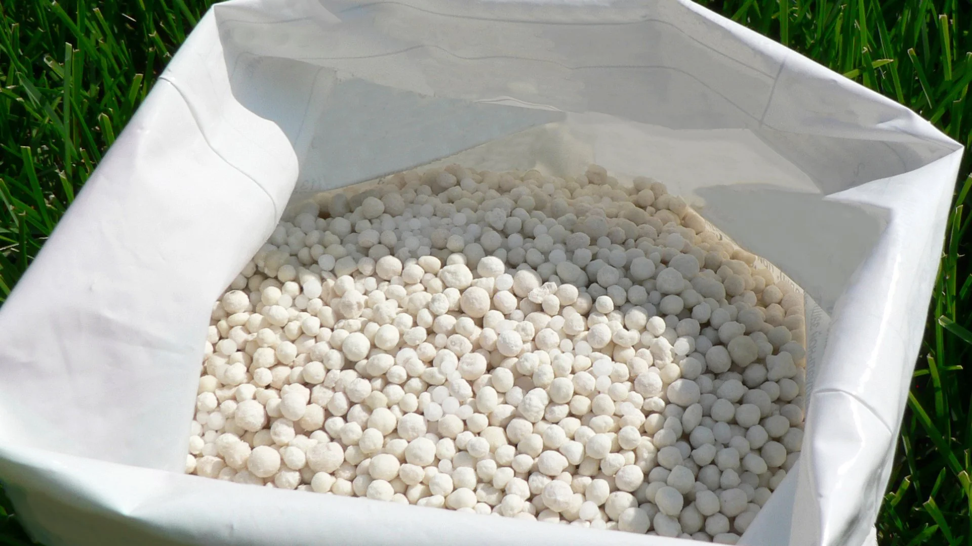 Liquid vs Granular Fertilizer - Which Is Better for Your Grass?