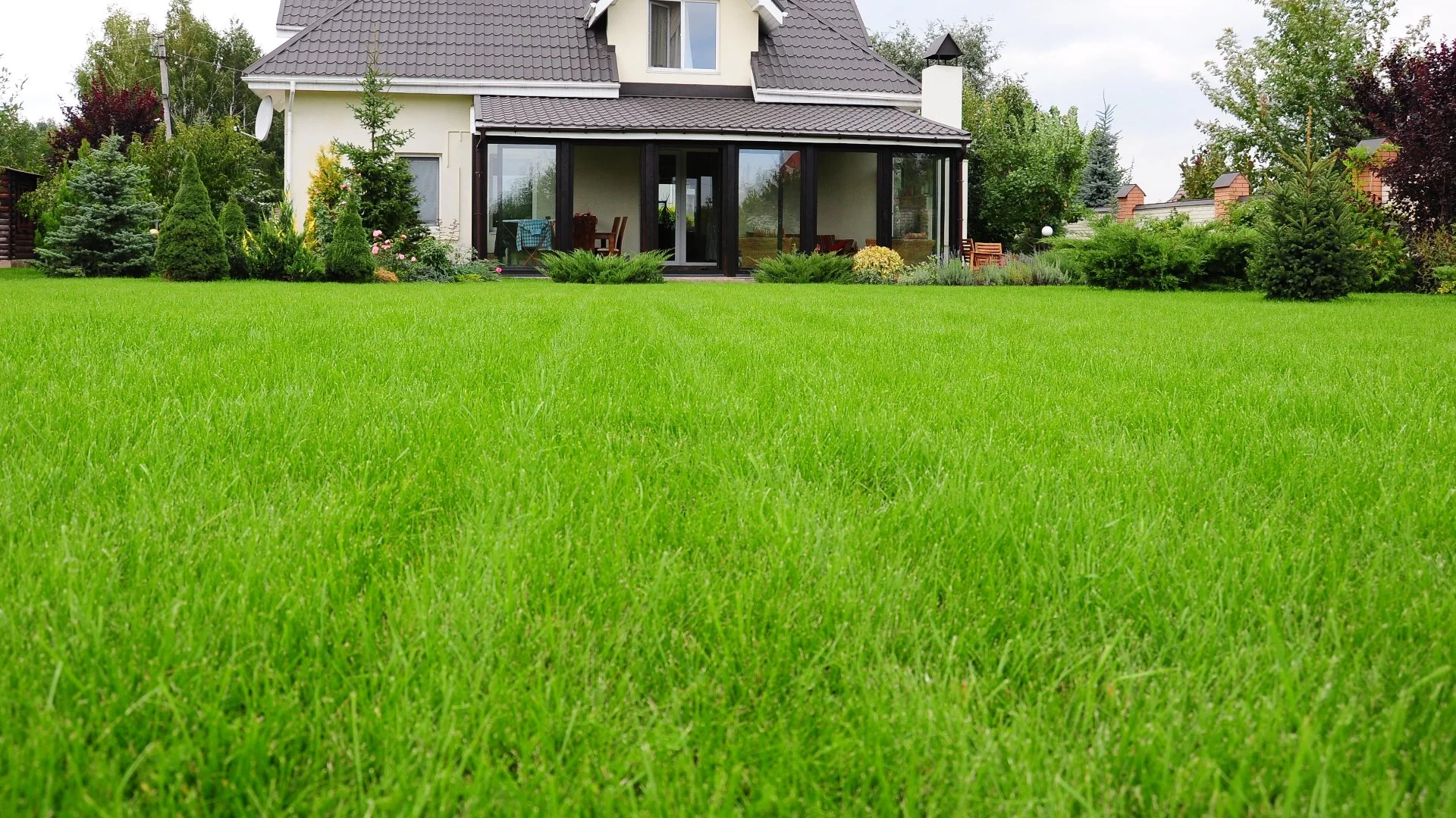 Thick, green grass due to regular lawn care at our client's home in Blue Bell, PA.