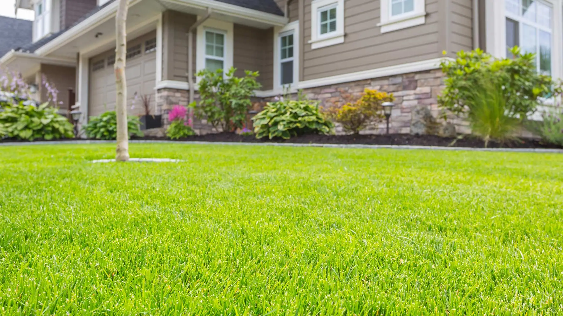 A lawn cared by a professional team in Yardley, PA.