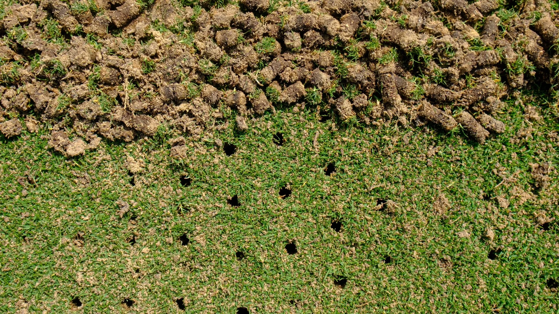 Core Aeration: Here's What You Should Know About This Lawn Care Service