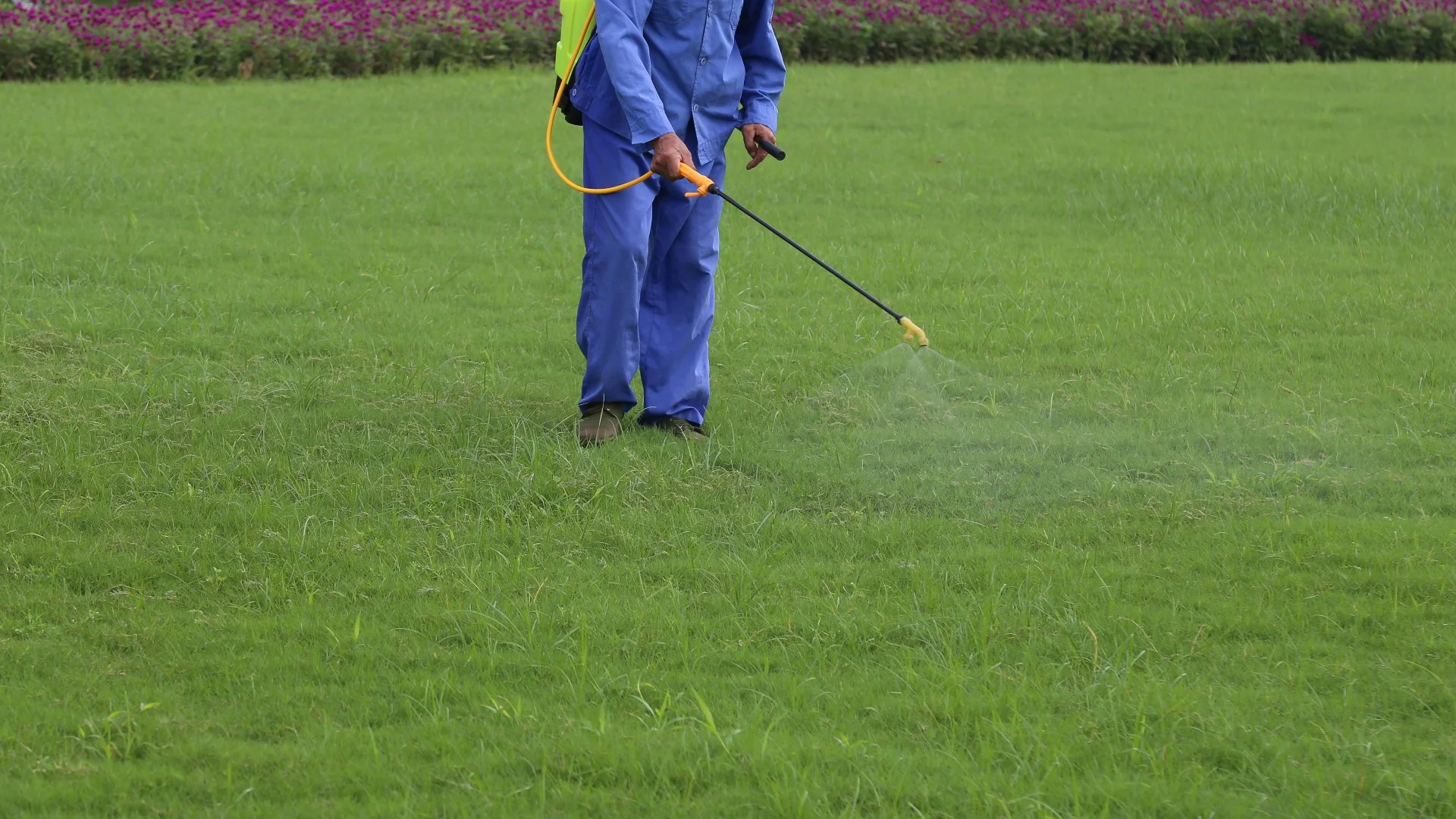 Our lawn care specialist spraying a treatment on our client's lawn in Newtown Square, PA.