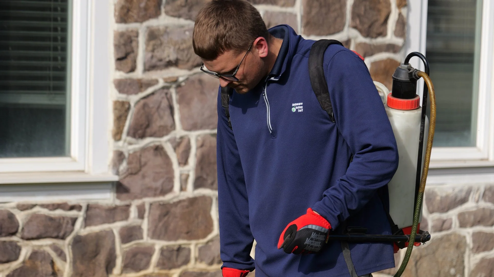 A professional spraying a weed with a natural treatment.
