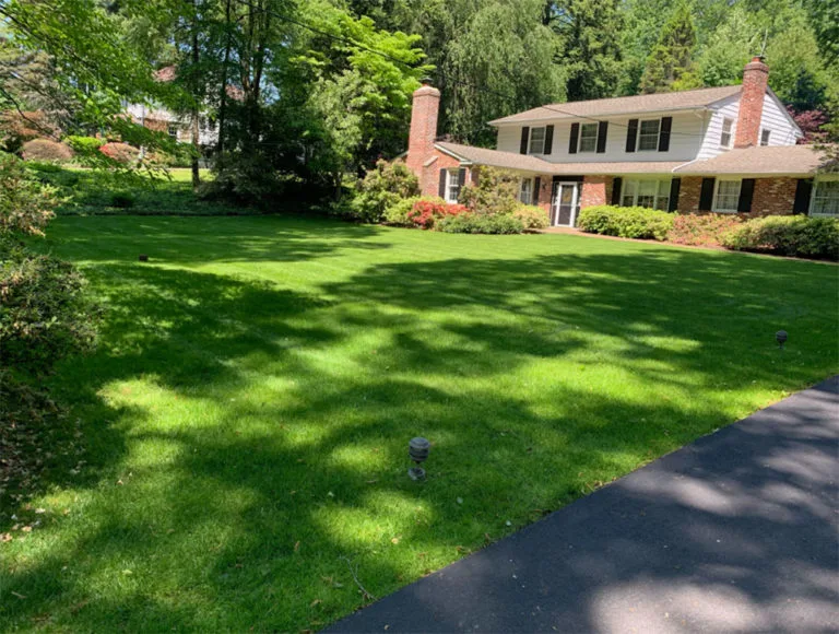 Lawn Care in Aston