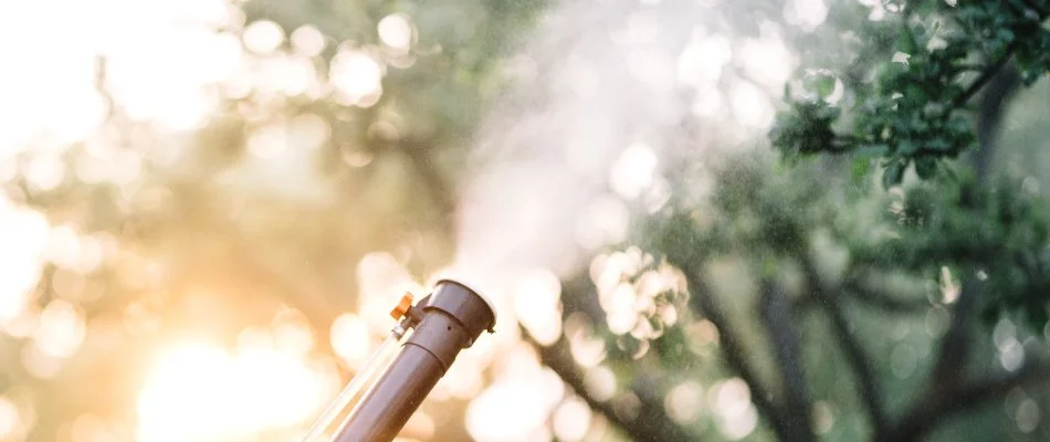 Mosquito control application in Newark, DE, through fogging.