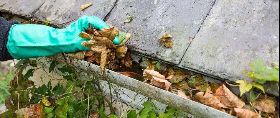 A homeowner removing debris from their gutter in Wilmington, DE.
