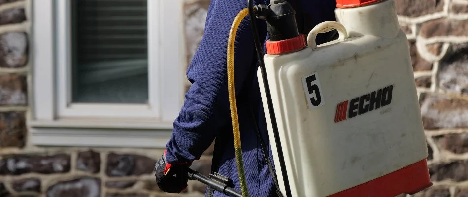 Person using a garden sprayer for plant care in Doylestown, PA.