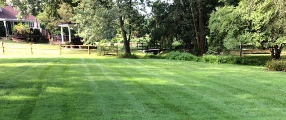 Healthy, green grass and lush trees in New Castle County, DE.