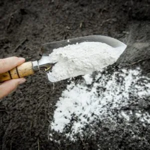 lime being spread into soil