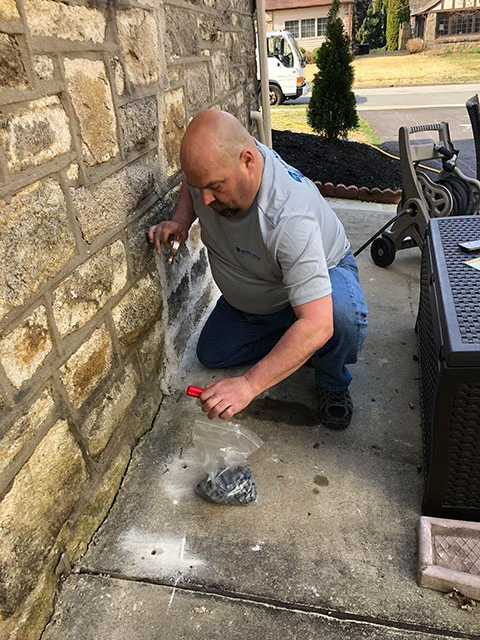 Introducing: Henderson Pest Services