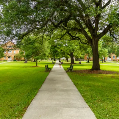 walkway on a college campus